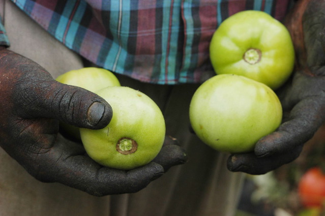From Farmworker to Leader: A National Farmworkers Job Program Success Story - CET