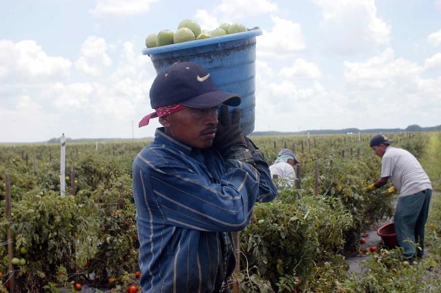 What is a Seasonal Worker?